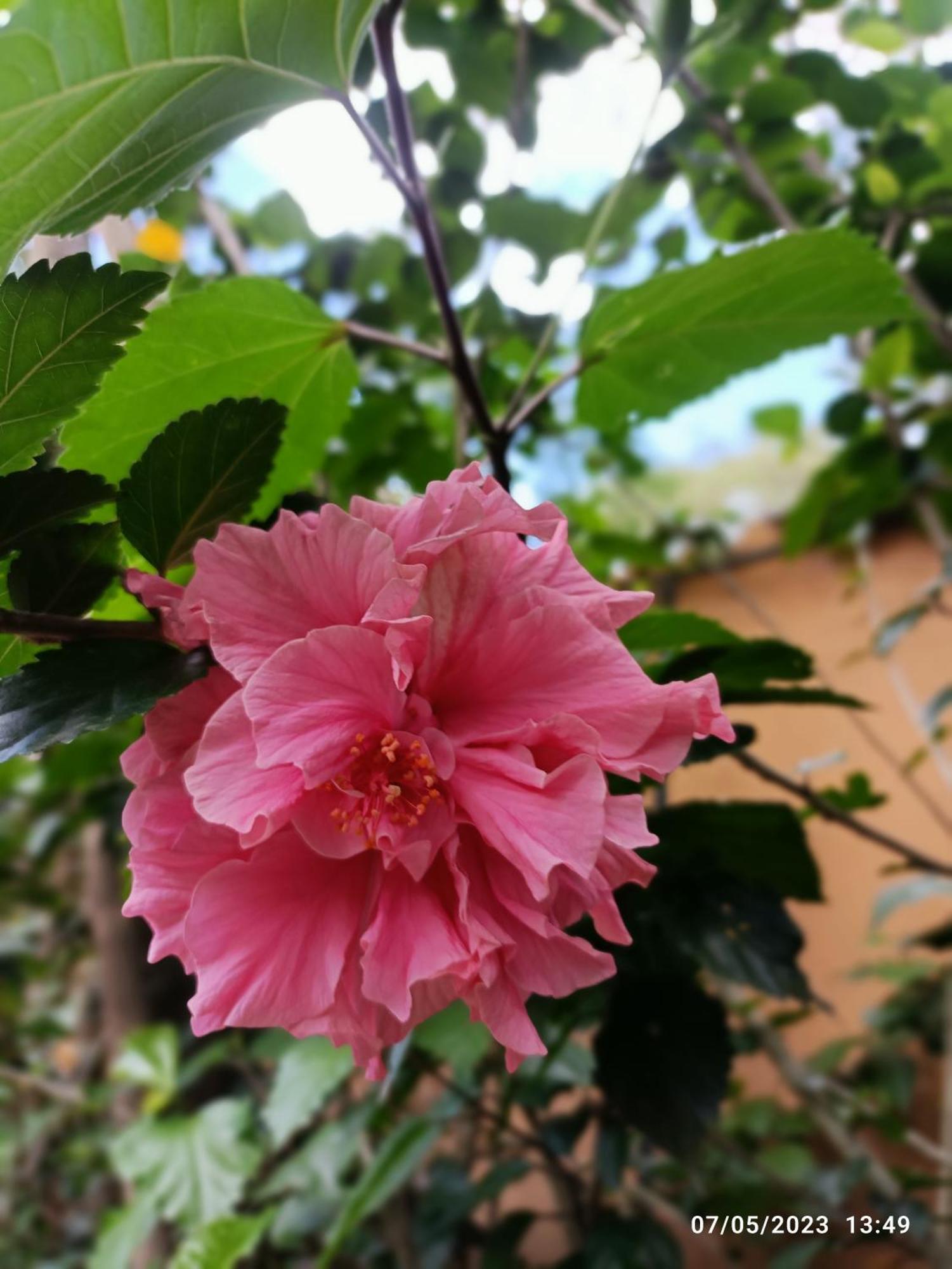 La Casa De La Nonna Bed and Breakfast Κίτο Εξωτερικό φωτογραφία